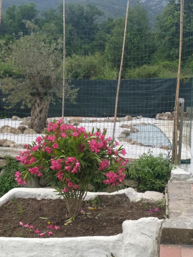 شقة Bilocale La Tezia مارتْشانا مارينا المظهر الخارجي الصورة